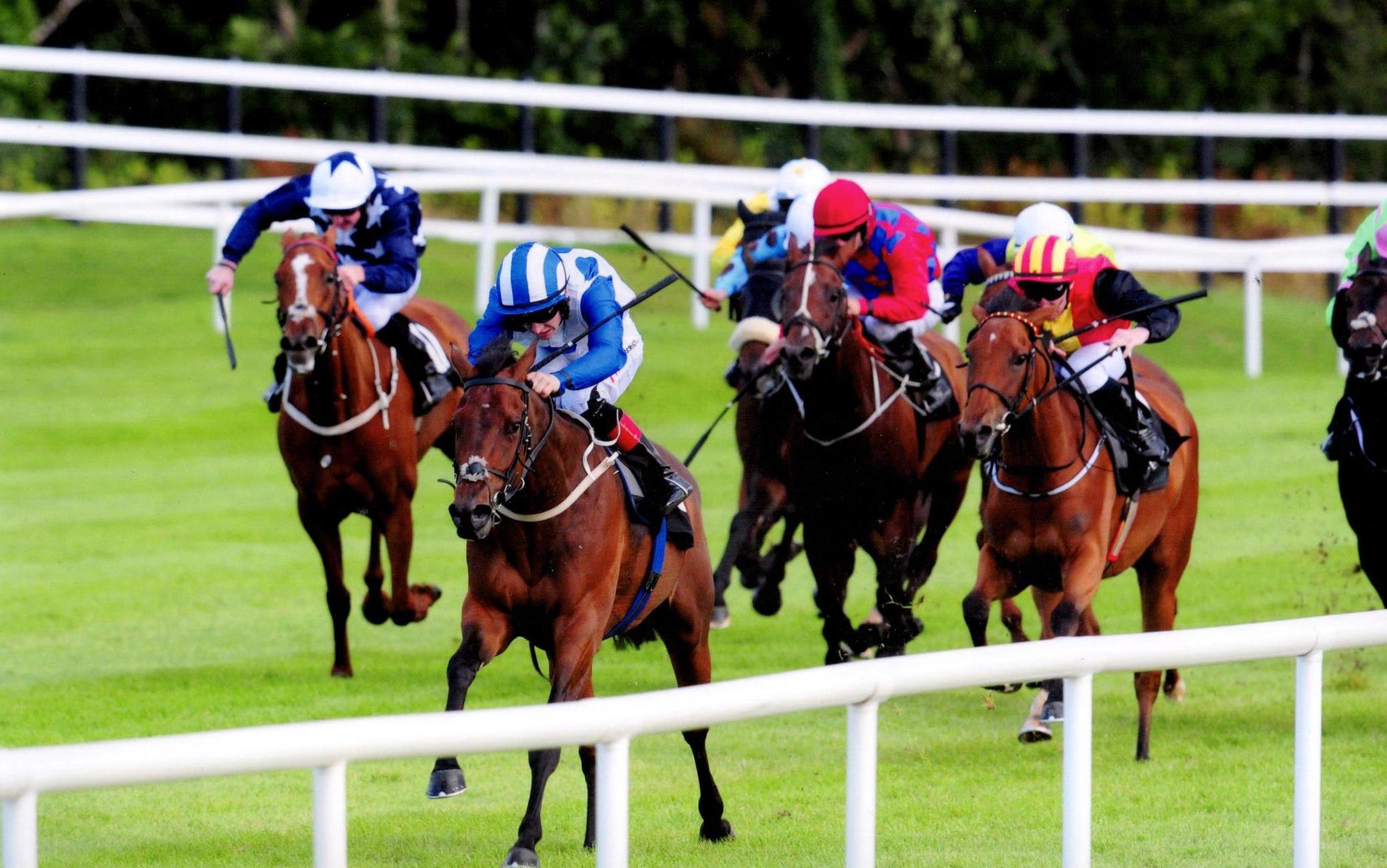 ALWAYS DANCING winning at The Killarney Festival 19th July 2017